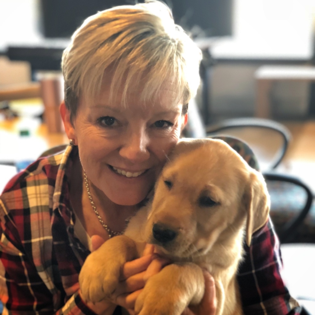 yellow Labrador, yellow Lab, service dog in training