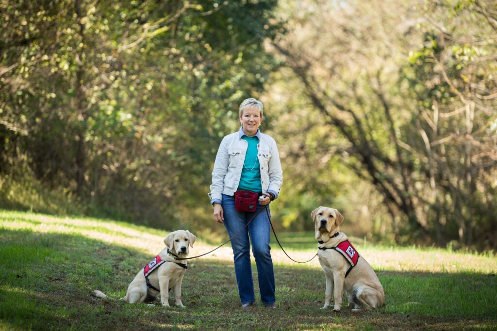 puppy training, puppy school, board and train, puppy obedience, clicker training, positive training