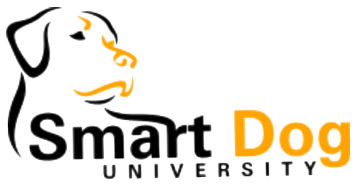Smart Dog University