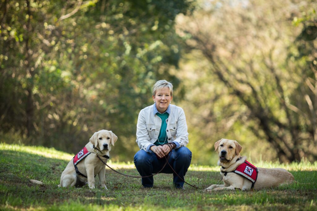 puppy training, puppy, board and train, positive training, clicker training, puppy expert, Lab training, Labrador training, 